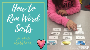 Word Sorts Cover