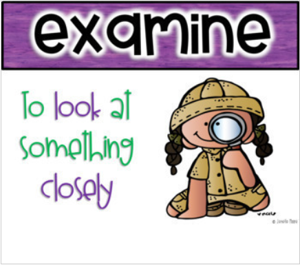 Examine poster with girl looking through a magnifying glass from Bloom's Taxonomy Poster Set .